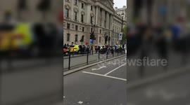 The moment man armed with knife is tackled by armed cops in Westminster