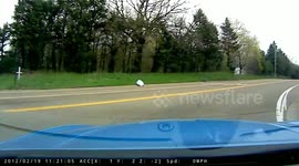 Eagle swoops down on road and captures squirrel