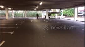 Wheelie