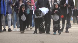 Mr Gorilla crawls across Marathon finish line a week late