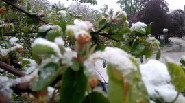 Snow in spring