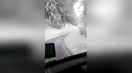 Newsflare Edit - Serious Accident on the road! Caused by a falling out tree! It's happened on 20.04.17.