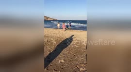 Newsflare Edit - Boy loves his first time paddleboarding...NOT