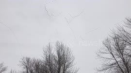 Hundreds of snow geese fly in 'V' formation