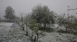 SNOW IN SPRING 29 04