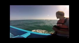 Getting right up close and personal with the grey whales in Baja California, Mexico