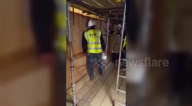 Builder pranks colleague with massive fake SPIDER