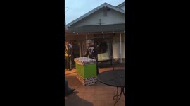 Adoption surprise