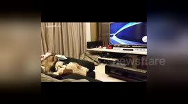 Newsflare Edit - Mini watching