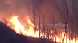 Hundreds of Chinese firefighters 'airlifted' to battle forest blaze