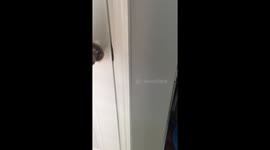 Twins caught in pantry