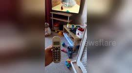 Newsflare Edit - My sons too clever