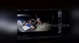 Newsflare Edit - Scared by a frog