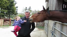 Baby meets a horse for the first time at farm in northern England