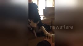 Newsflare Edit - Anakin now plays Snap