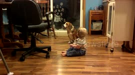 Bark scares Baby