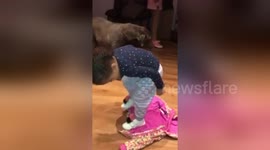 Newsflare Edit - Cool way to put on a jacket 2year old