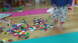 Toddler kicks over dominoes he loves it