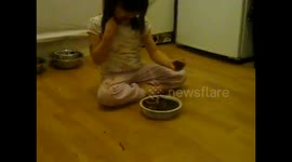 Cake thief caught on camera