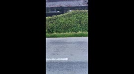 Baby taking herself for a walk in her pram