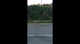 Row row row your boat....