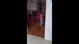 Toddler plays with new kitten