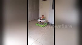 Newsflare Edit - 9mth old smashing dishes with baby walker