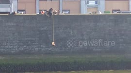 Rescuers use rubber ring to save cat from river in Dublin
