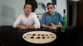 Bugs - Shots Challenge, with 90% Absinthe