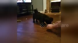 Newsflare Edit - Penny learns 'Touch'