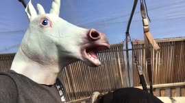 Mystical Unicorn Dad Episode #8: From Farm to Pharmacy