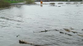 High water levels in Belleville