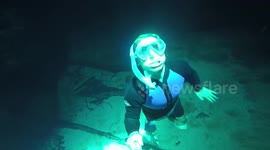 Stunning footage captures Florida underwater cave dive