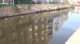 Canal Pollution