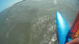Windsurfer encounters bull shark