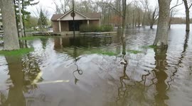 Tweed flood