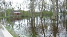 Flooded street in Tweed