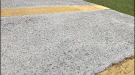 The Ant Crossing