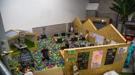 Young entrepreneur fills office with giant ball pit