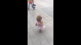 Poodle dressed and walking like a human filmed at Chinese theme park