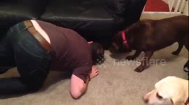 Where is your ball molly?