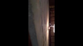 Arthur Roden Black mamba removal from thatch roof