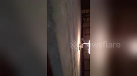 Newsflare Edit - Arthur Roden Black mamba removal from thatch roof