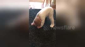 Newsflare Edit - Baby does yoga