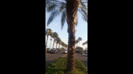 She is trying to rescue the bird.#clearwater #nature https://t.co/xOv2Sxy8Uk