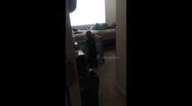 Toddler pushes brother