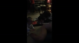 Babies attack daddy