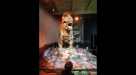Scary T-Rex