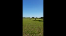 Toddler rocks his quad bike