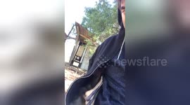 Rescued baby kangaroo takes a nap in British man's hoodie